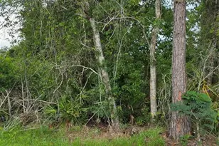 3227 Urmey Ave, Deltona, FL 32738 - Photo 1