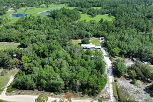 38846 Forest Dr, Eustis, FL 32736 - Photo 45