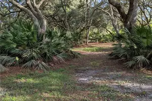 44931 2nd St, Deland, FL 32720 - Photo 27