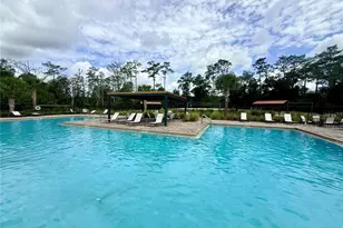 463 Liu Ln, Deland, FL 32724 - Photo 35