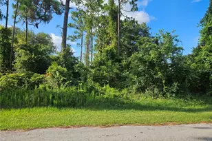 2318 Whitehorse St, Deltona, FL 32738 - Photo 1