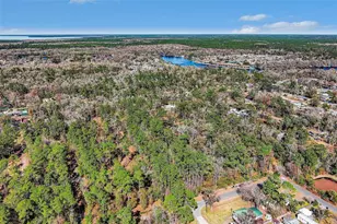 24421 Trespass Trail, Astor, FL 32102 - Photo 17