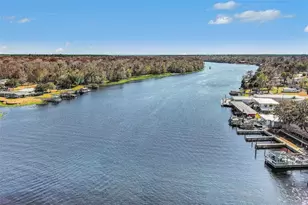 24421 Trespass Trail, Astor, FL 32102 - Photo 3