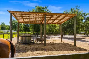 135 Linda Sue Dr, Lake Helen, FL 32744 - Photo 61