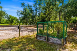 135 Linda Sue Dr, Lake Helen, FL 32744 - Photo 29