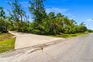 135 Linda Sue Dr, Lake Helen, FL 32744 - Photo 63