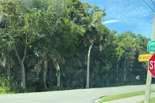 1400 Enterprise Ave, New Smyrna Beach, FL 32168 - Photo 1