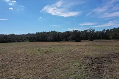 4558 S Ridgewood Avenue, Edgewater, FL 32141 - Photo 21