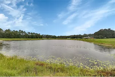 4940 State Road 11, De Leon Springs, FL 32130 - Photo 9