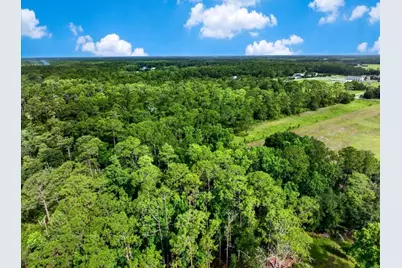 4600 Saddle Creek Run, New Smyrna Beach, FL 32168 - Photo 11