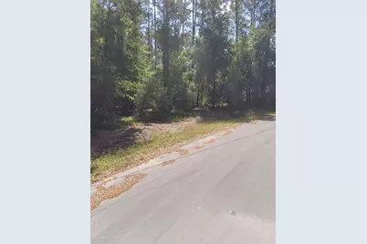 Locust Circle, Ocala, FL 34472 - Photo 1