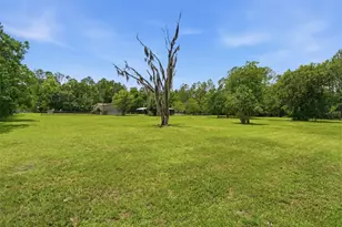 [Address not provided], Bunnell, FL 32110 - Photo 25