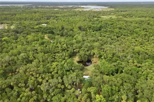 1900 Retreat Rd, Geneva, FL 32732 - Photo 21