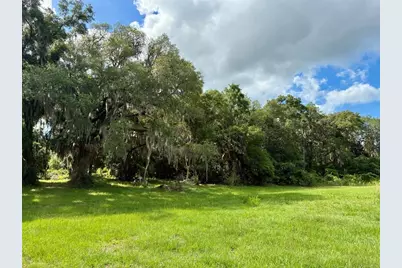126 Lake Geneva Road, Georgetown, FL 32139 - Photo 11