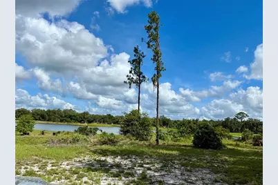 126 Lake Geneva Road, Georgetown, FL 32139 - Photo 5