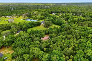 381 N Jungle Rd, Geneva, FL 32732 - Photo 51