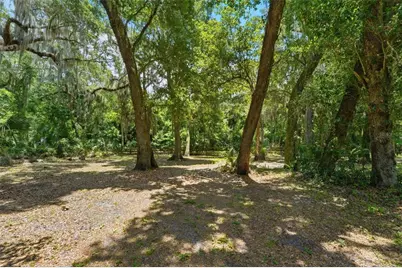 381 N Jungle Road, Geneva, FL 32732 - Photo 45