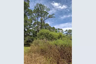 885 E Lehigh Drive, Deltona, FL 32738 - Photo 3