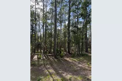 207 Ocala Court, Georgetown, FL 32139 - Photo 1