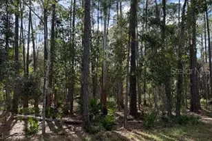 207 Ocala Ct, Georgetown, FL 32139 - Photo 1