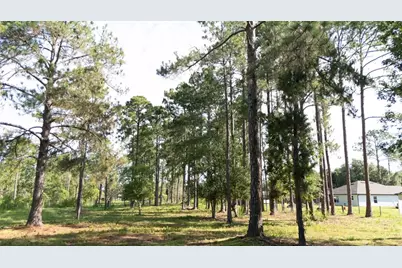 No Street, Deland, FL 32720 - Photo 3