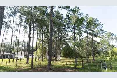 No Street, Deland, FL 32720 - Photo 7