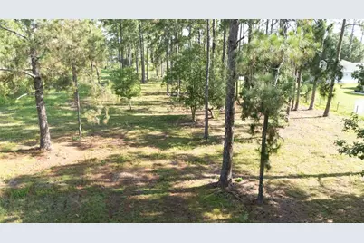 No Street, Deland, FL 32720 - Photo 3