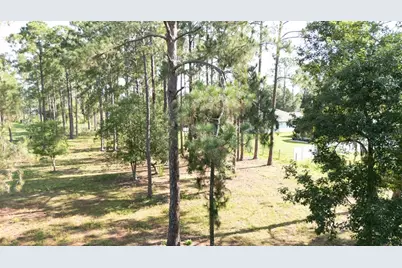 No Street, Deland, FL 32720 - Photo 5