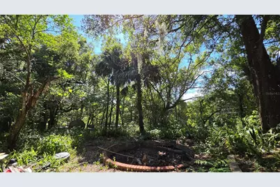 236 N Amelia Avenue, Deland, FL 32724 - Photo 9
