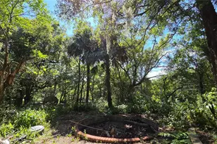 236 N Amelia Ave, Deland, FL 32724 - Photo 9