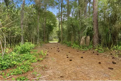 3800 Willow Avenue, Deland, FL 32720 - Photo 41