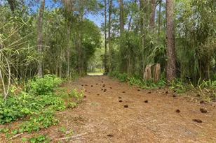 3800 Willow Ave, Deland, FL 32720 - Photo 41