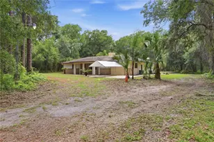 3800 Willow Ave, Deland, FL 32720 - Photo 7