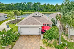204 Caryota Ct, New Smyrna Beach, FL 32168 - Photo 1