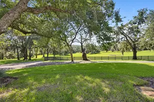 900 E Kicklighter ( 15+/- Acres) Rd, Lake Helen, FL 32744 - Photo 39