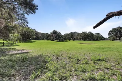 900 E Kicklighter ( 15+/- Acres) Road, Lake Helen, FL 32744 - Photo 43
