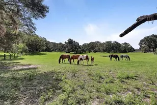 900 E Kicklighter (5 +- Acres) Rd, Lake Helen, FL 32744 - Photo 43