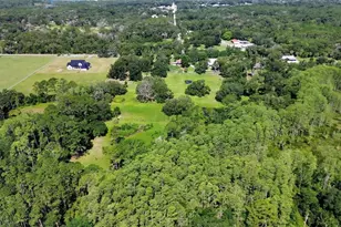 900 E Kicklighter (5 +- Acres) Rd, Lake Helen, FL 32744 - Photo 39