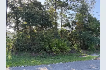Hickory Avenue, Orange City, FL 32763 - Photo 5