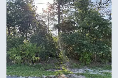 Hickory Avenue, Orange City, FL 32763 - Photo 3
