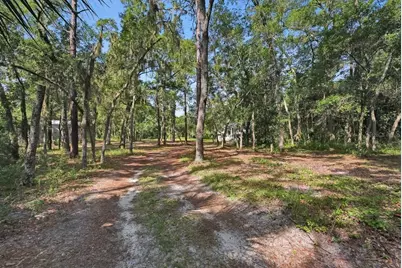 1530 Deer Moss Lane, Deland, FL 32720 - Photo 53