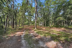 1530 Deermoss Ln, Deland, FL 32720 - Photo 53