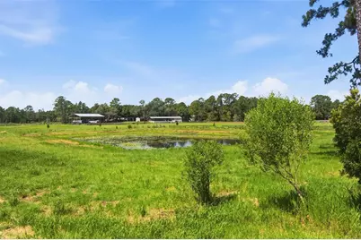 32416 Pine Road, Eustis, FL 32736 - Photo 43