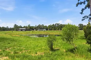 32416 Pine Rd, Eustis, FL 32736 - Photo 43