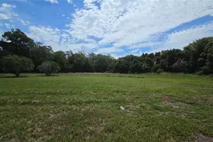 909 S County Road 3, Pierson, FL 32180 - Photo 39