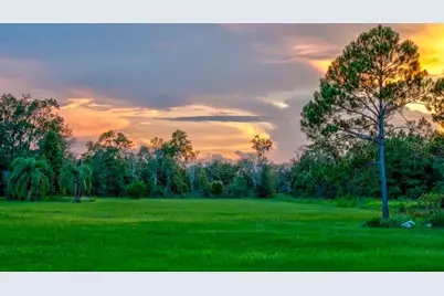 909 S County Road 3, Pierson, FL 32180 - Photo 3