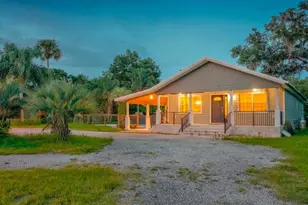 909 S County Road 3, Pierson, FL 32180 - Photo 1