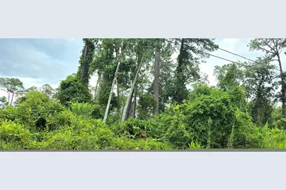10th Avenue, Deland, FL 32724 - Photo 3