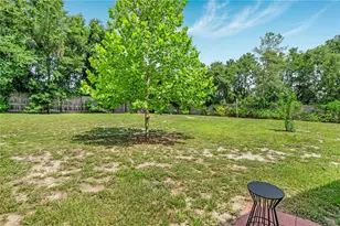1375 Louis Ct, Deland, FL 32720 - Photo 49