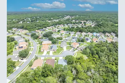 3149 Red Berry Court, Deltona, FL 32725 - Photo 41